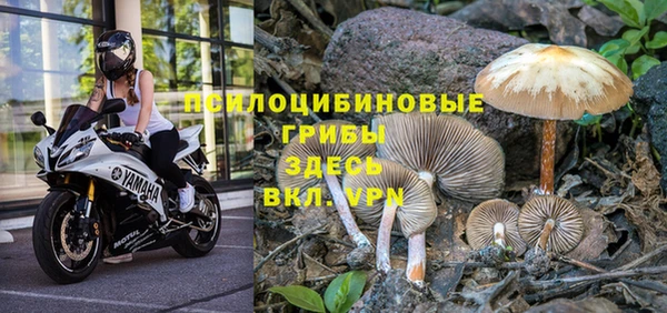 кристаллы Алексин