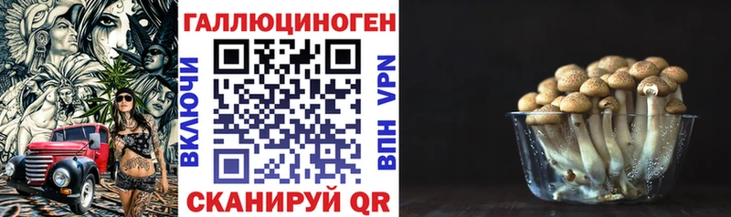 Галлюциногенные грибы мухоморы  наркотики  Арамиль 